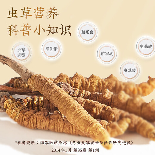 Tongrentang Brand Tibet Wild Cordyceps Sinensis 2-3 Roots / G12G environ 36 coffrets cadeaux haut de gamme pour les grands clients à diriger