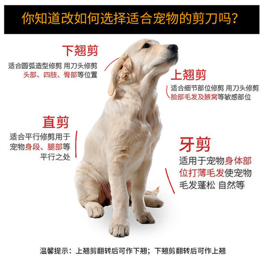 Tanizaki pet scissors 7-inch double-tailed nail scissors set beauty curved scissors for cats and dogs universal hair trimming and shearing tool #7-inch double-tailed nail downward scissors + care set