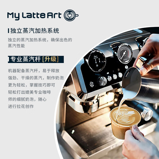 德龙（Delonghi）【国家补贴】咖啡机 冷萃半自动咖啡机 家用现磨意式研磨一体机 全自动打奶泡 银骑士 EC9865.M