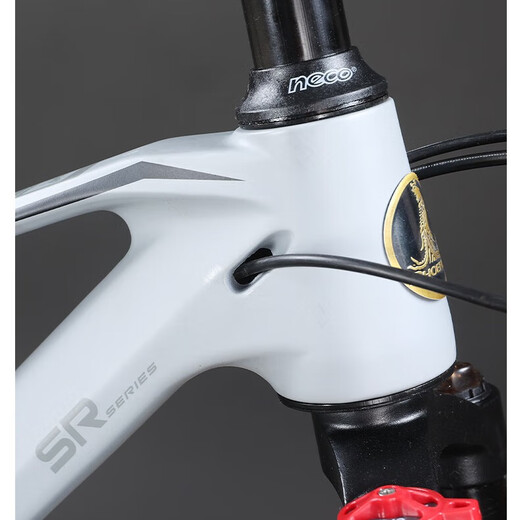 Phoenix Magnésium Alliage Vélo de montagne pour hommes et femmes VTT de VTT 27 vitesses adultes adolescents Speed Off-Road Shock Absorbant Racing Racing XT680 Magnésium Ligne en alliage - Changement de vitesse du plan d'empire gris foncé - 26 pouces 27 vitesses Blueprint