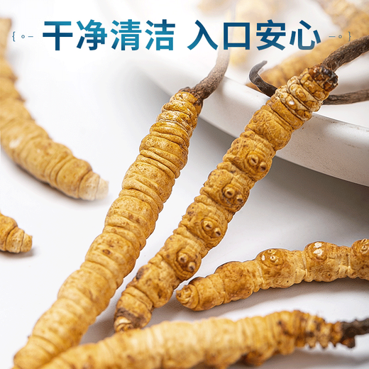 By the time of the Spring Festival, the official Cordyceps gift box gives good quality high-end gifts to parents and elders nutritional supplements [3 sticks/g 30 sticks-10 grams] nourishing health gift box for the elderly tonic