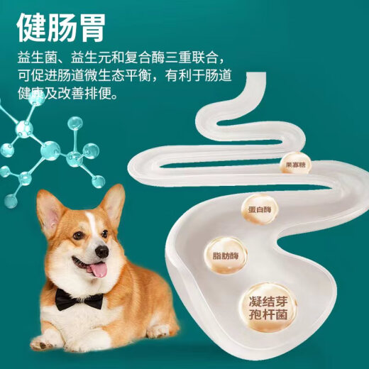 RAMICAL Dog Food Puppy Adult Dog Full Price Universal Dog Food Teddy Golden Retriever Labrador Corgi Opal Dog Food 500g