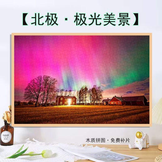 桃李世家高颜值北极极光星空美景拼图1000片带框送朋友 ins风礼物益智玩具 北极极光星空-P1517 1000片盒装+海报+分区隔板