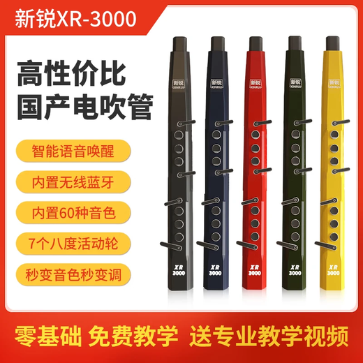 新锐XR3000电吹管初学者中老年乐器大全国产电子萨克斯电子管电笛笛子 墨绿色标配+音箱+大礼包