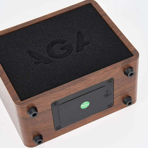 AGA guitar speaker electric box acoustic guitar folk outdoor singing instrument mobile charging selling singing instrument bluetooth speaker G2mini 15 watt + accessories luxury gift
