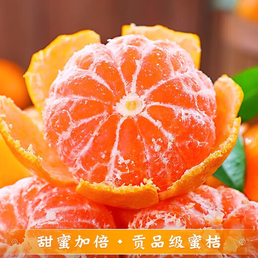 京地达浙江临海涌泉蜜桔新鲜水果橘子桔子重9.2斤单果65mm源头直发包邮