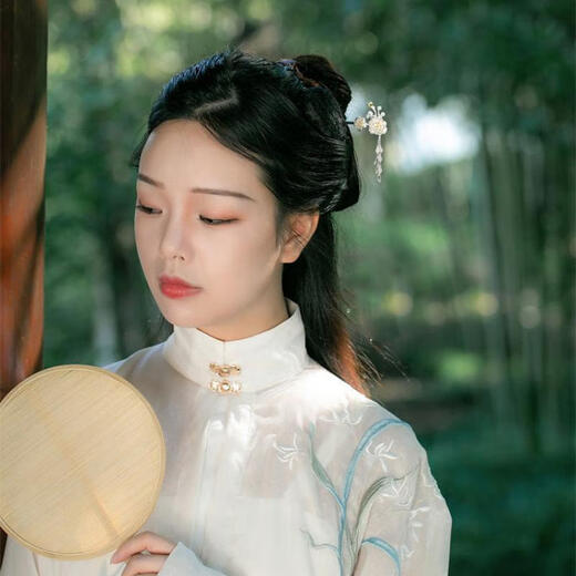 Dijing Sansheng III plum blossom hairpin for women, ancient style hairpin with tassels, Hanfu hair accessories, birthday gift for girlfriend and wife, silver