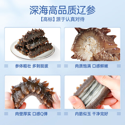 Liao Cucumber Dalian Sea Cucumber Organic Liao Apostichopus non-ready-to-eat sea cucumber gift box seafood fresh Dalian specialty independent packaging subsidy 1000g 32-36 heads gift box