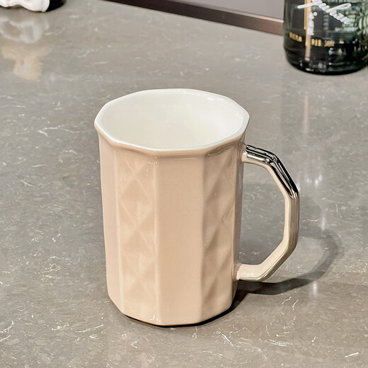 Xibaisheng light luxury water cup set household heat-resistant teapot ceramic cup with handle for family living room entertaining high-end tea set set of 2 ceramic cups 1225 ordinary packaging