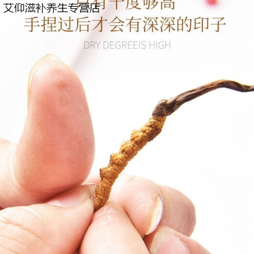 Ivanmai Authentic Cordyceps Cordyceps Cordyceps Cordyceps non-cut grass tube-installed with extra large root gift box Yivanmai Two bottles of 10 pieces are given one bottle up to 15 pieces