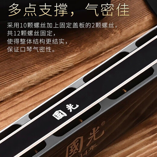 国光国光进口音簧国光28孔口琴重音复音C调高级成人初学专业演奏高端 28孔C调演奏款黑色重音
