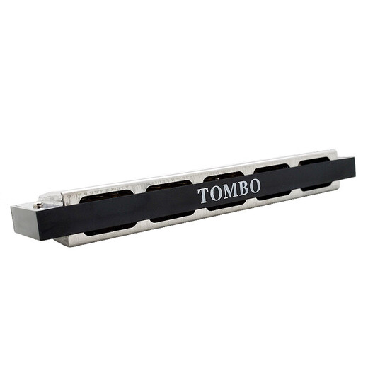 Tongbao 21 hole polyphonic harmonica for children adult beginners C tune introductory playing musical instrument imported gong 6621 hole 21 hole - #D (E flat) tune