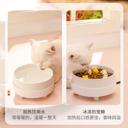 Jphznb animal constant température de température de chat Dispensateur yogourt machine chat chat d'eau potable température constante bol d'eau hiver céramique chauffant bol de chat bol à chiens bol