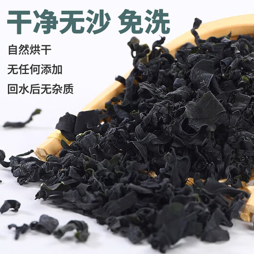 全干裙带菜 小海带菜免洗无沙 免切免洗100g*1袋