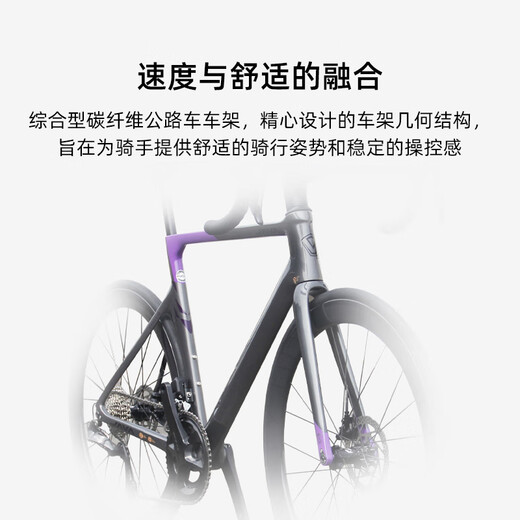 Jiawo JAVA road bicycle hydraulic disc brake 7170 electronic speed barrel shaft carbon fiber bend handle racing VESUVIO bright titanium L (height: 178-188CM)