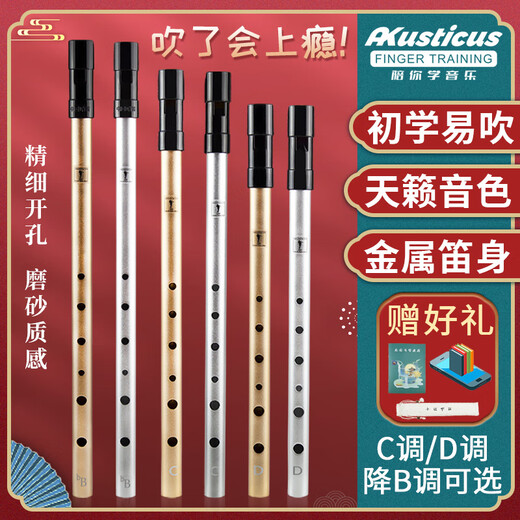 杉贝爱尔兰哨笛C调D调笛子儿童初学者高音直笛竖笛六孔乐器 演奏款D调银色+丰富