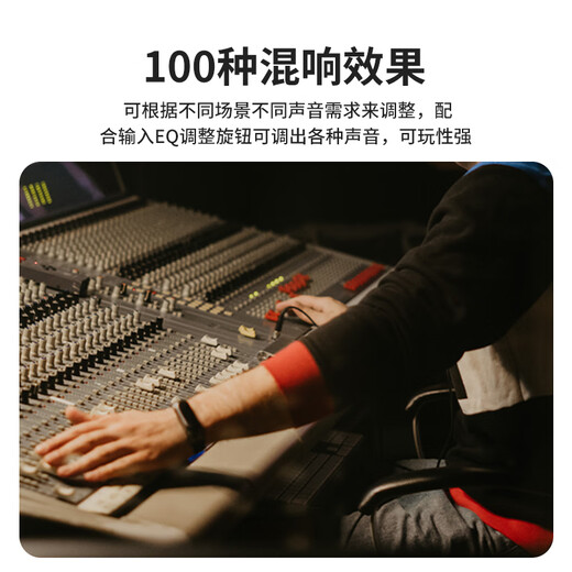 Ellip SE300 audio outdoor karaoke live broadcast internal recording electric blowpipe saxophone guitar singing audio mobile portable high-power Bluetooth stage performance speaker official flagship SE300 forest green + CQA3318 microphone