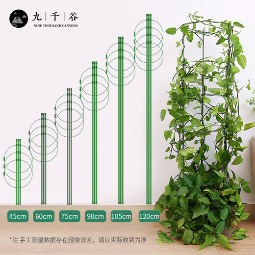 
Nine Thousand Valley Plant Climbing Brackets Steel Pipe Flower Pots Vines Flower Frame Rose Grape Fixed Raspberry Grape Fixed Rack 75cm4641