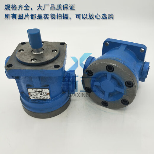 Jingsenzhen medium pressure vane pump YB-D6.3 YB-D80