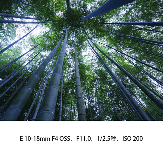 Sony (SONY) APS-C half-frame ultra-wide-angle zoom lens E 10-18mmF4 OSS official standard