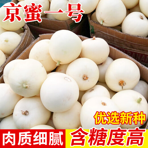Zhongke Maohua white-skinned melon seeds Jingmi No. 1 early-maturing melon seeds hybrid thin-skinned white melon seeds fruit seeds Jingmi No. 1 melon seeds 600 capsules
