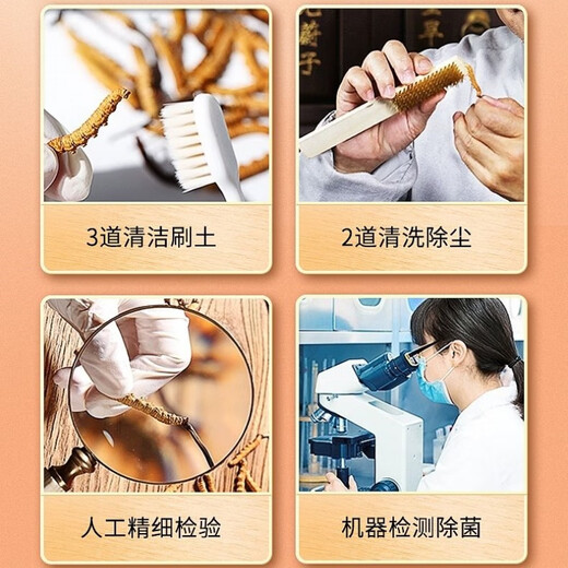 Cordyceps sinensis broken grass high altitude Tibetan area snowy areas selected Cordyceps sinensis pure meat section dried Cordyceps nourishing Cordyceps sinensis Tibetan area Cordyceps sinensis big broken grass 11 grams