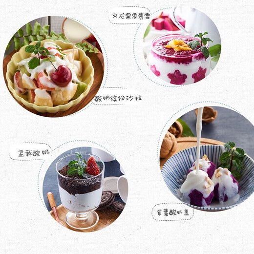 小熊（Bear）酸奶机家用全自动微电脑可定时不锈钢内胆酸奶发酵菌 【三档酸度+304内胆】SNJ-C10H1