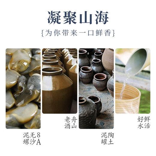 Fresh Xili mud snail ready-to-eat canned yellow mud snail fresh extra large drunk mud snail raw pickled Zhoushan specialty Ningbo seafood conch without sand large drunk mud snail 300g