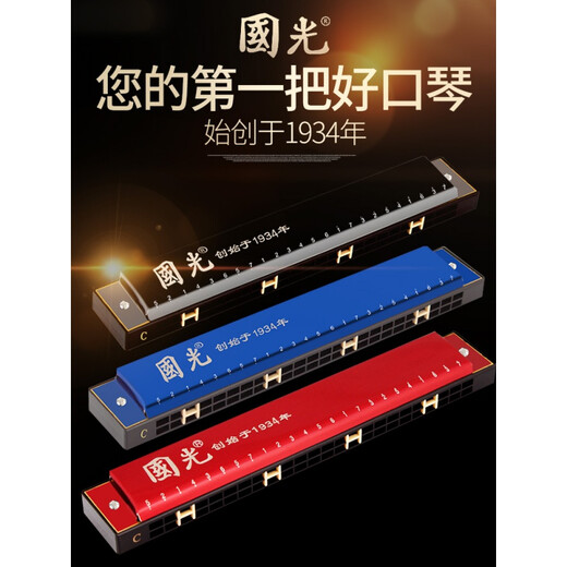 国光德国进口音簧国光口琴复音c调宽音域口琴初学者入门学生演奏级 28孔复音C调宽音域典雅黑