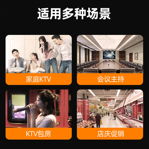 山水（SANSUI）家庭KTV音响 家庭影院组合套装卡拉OK搭配功放点歌机K歌室内培训学校舞台专用设备 H11音响一对