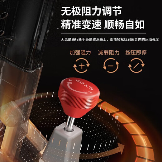 Lijiujia spinning bicycle home smart sports fitness equipment indoor silent bicycle small D100 12Jin Jin equals 0.5kg flywheel set/free plug-in/200Jin Jin equals 0.5kg load bearing