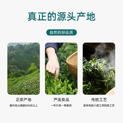 Tea Peak Tea Phoenix Single Brass Tea Yellow Branch 500g Fragrance Type Chaozhou Spring Tea Gaoshan Single Oolong Tea Drink [Yellow Branch Autumn] Fragrance Type 500g*1 bag