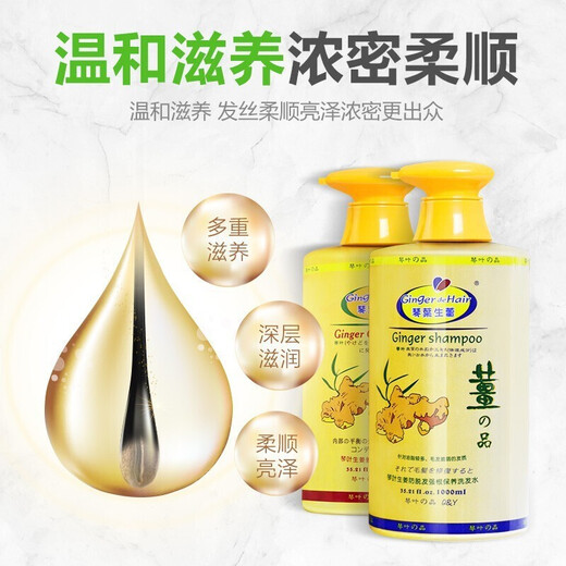 琴叶（Q&Y）侧柏叶生姜洗发水1000ml 经典P104 防脱育发 强根保养 韧发控油