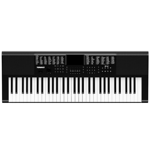 Terence Electronic Piano Erwachsene Kinder 61 Schlüsselanfänger spielen multifunktionale tragbare Musikinstrumente Vatertag Geschenke Kaufen Sie Tausende von Menschen klassisches Schwarz + Luxusgeschenke