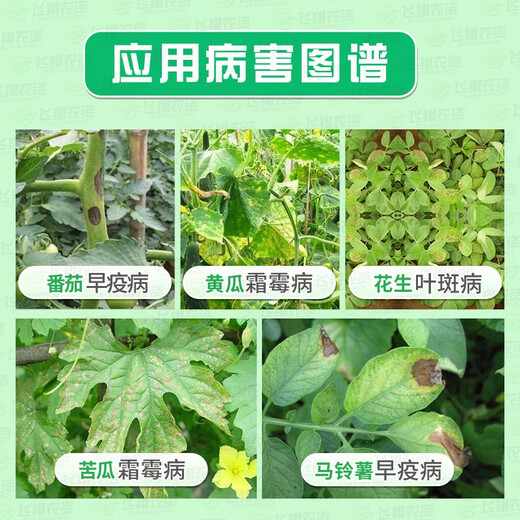 Syngenta Hordisch 75% chlorothalonil vegetable and flower early blight peanut leaf spot downy mildew pesticide fungicide 100g