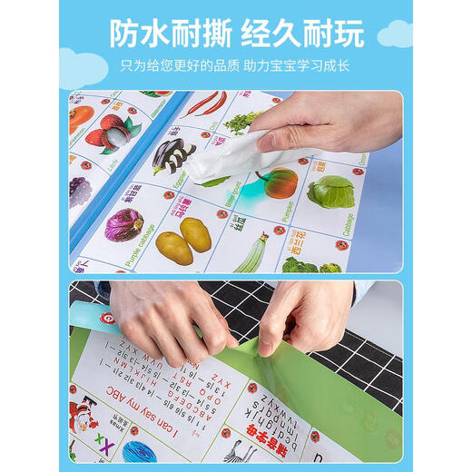 幼儿童早教机点读书小孩笔中英文画本电子书学习宝宝3岁6玩具 新款带解说充电款-点读本23页30