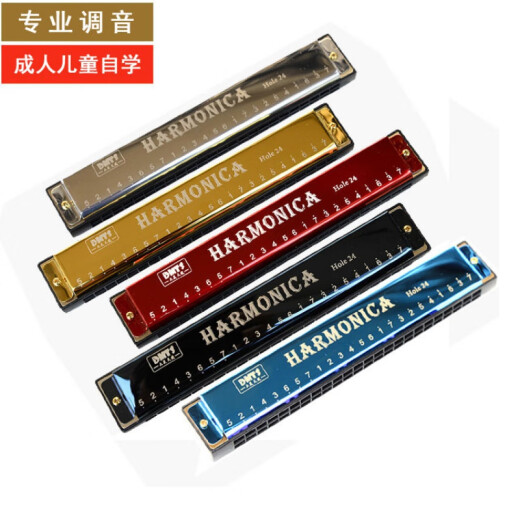 24孔C调口琴儿童乐器10孔布鲁斯初学者成人口风琴玩具118 24孔 精品钛金口琴(紫)