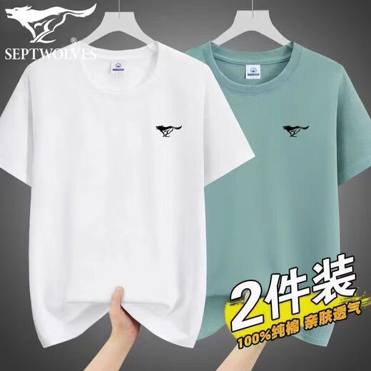 七匹狼（SEPTWOLVES）品牌100纯棉短袖T恤男士2025年新款夏季男装短袖T恤休闲宽松百搭 q01深灰+黑色2件装 均码  3xl160-175斤