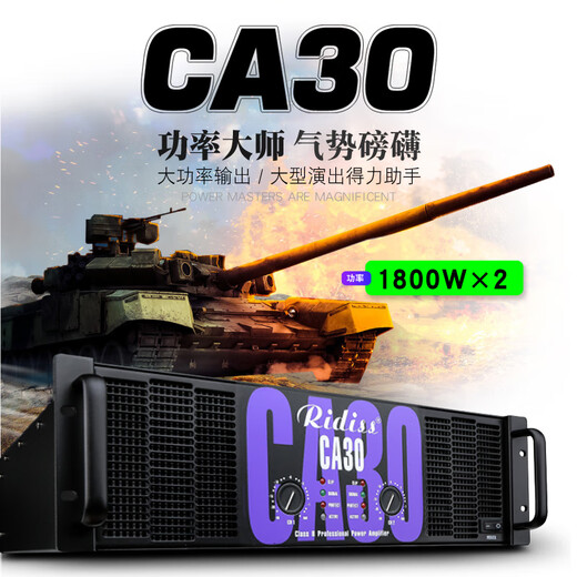 Ridiss professional power amplifier CA series dual-channel high-power professional audio stage sound performance engineering home KTV pure power amplifier CA9 800W2