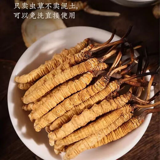 康源藏草地高档送礼品长辈同事岳父母高档冬虫夏草虫草礼盒装干货滋补品 冬虫夏草3根一克【50克礼盒装】