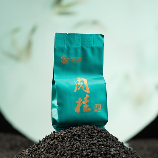 海堤（SEA DYKE）中茶乌龙茶武夷岩茶肉桂特级256g中火礼盒装茶叶商务送礼送长辈