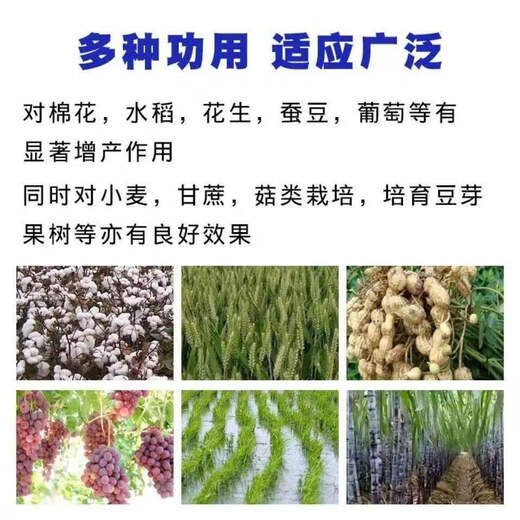 Agricultural urea phosphate is used to remediate saline-alkali soil and improve soil plants. Agricultural nitrogen and phosphorus fertilizer 1000g packaging