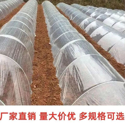 Jiayou agricultural transparent plastic film for small sheds for growing vegetables, agricultural special film, plastic cloth insulation mulch film to prevent cold, 4 wires, special film for small sheds, 2 meters wide and 1 meter long