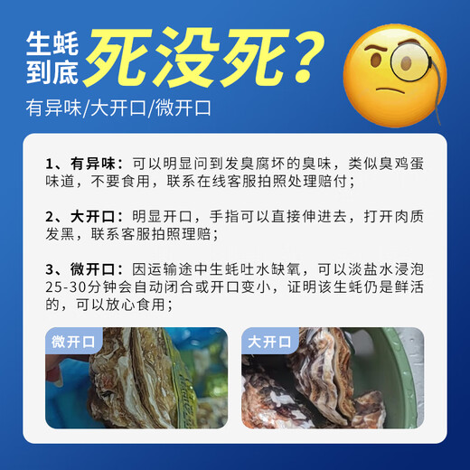 Bassling Fresh Rushan Oysters 4XL Net Weight 10Jin Jin is equal to 0.5kg 20-26 pieces Straight from the source