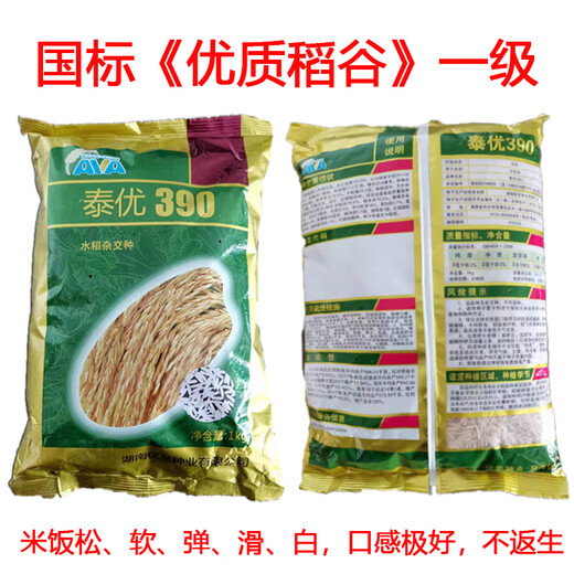 香米型米粒细长水稻种子泰优390矮杆抗倒适应性广产量高 泰优390水稻种子2斤装