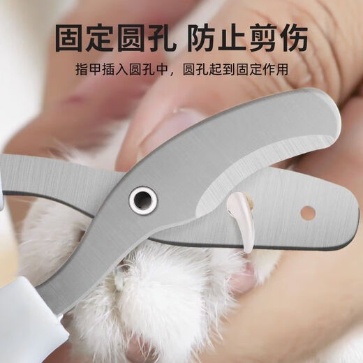 Ronghuashi Cat Nail Clippers Special Anti-scratch Nail Clipper Nail Clipper Cat Claw Rabbit Pet Dog Supplies Pet Nail Clipper Blue Double Hole Model