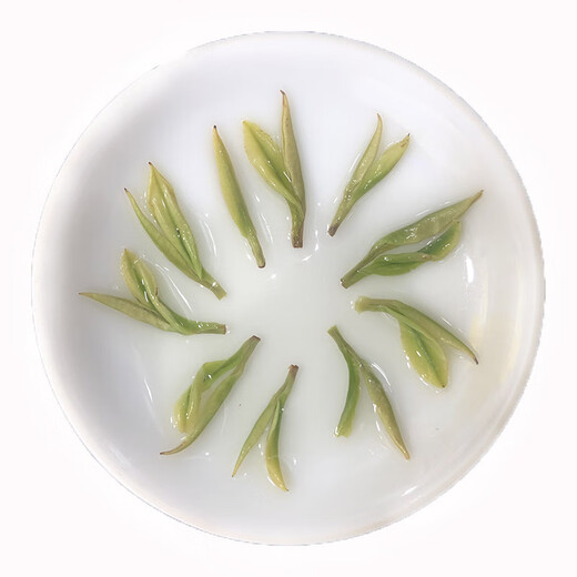 Jiang Fengji's 2024 new tea Mingqian White Tea High Mountain Tea Anji origin loose tea leaves are large in quantity and distributed randomly.