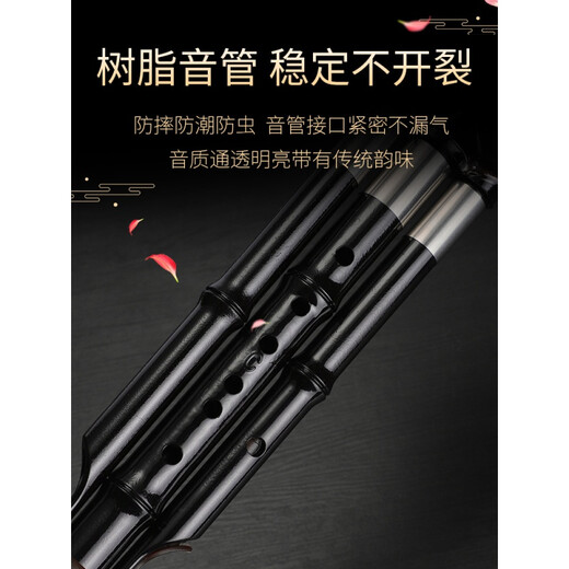 Yige Hulusi musical instrument for primary school students, special for children, anti-fall, beginner teaching, 7-hole Yunnan quality musical instrument, C key, primary school student Hulusi, colorful butterfly color + protective box