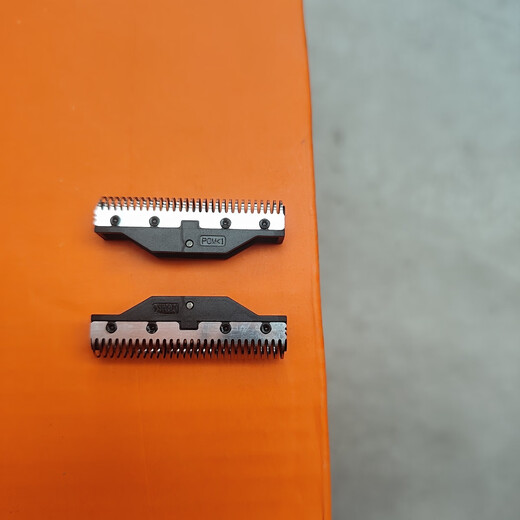 Bill BL-9732 Razor Whitening Device Shaving Knife Head Knife Net Accessories 2 Knife Heads + 2 Knife Nets