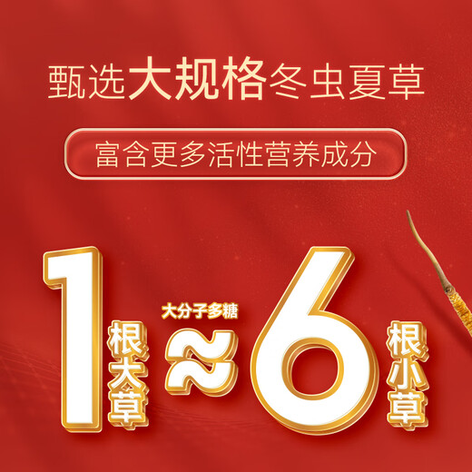 
Dongyangguang Organic Cordyceps sinensis 3-4 roots/g New dried Cordyceps nourishing gift box Cordyceps supplements for parents and elders 50 grams 2-3 roots/g [Lock fresh grass, business gift]